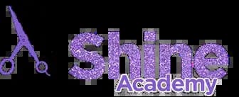 BBlunt Shine Academy Logo